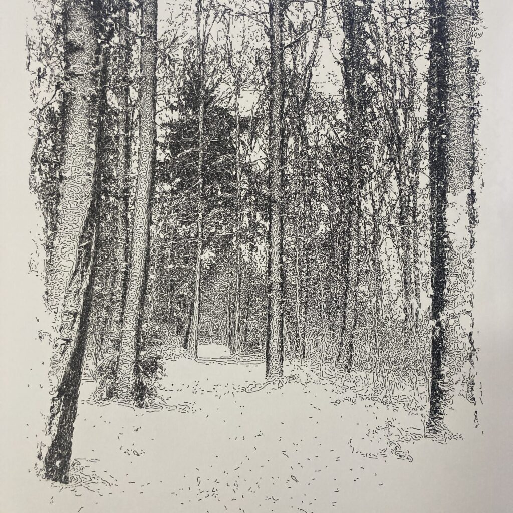 Rustic scenery with snow covered trees. Image is pen plotted with black ink on white paper.
