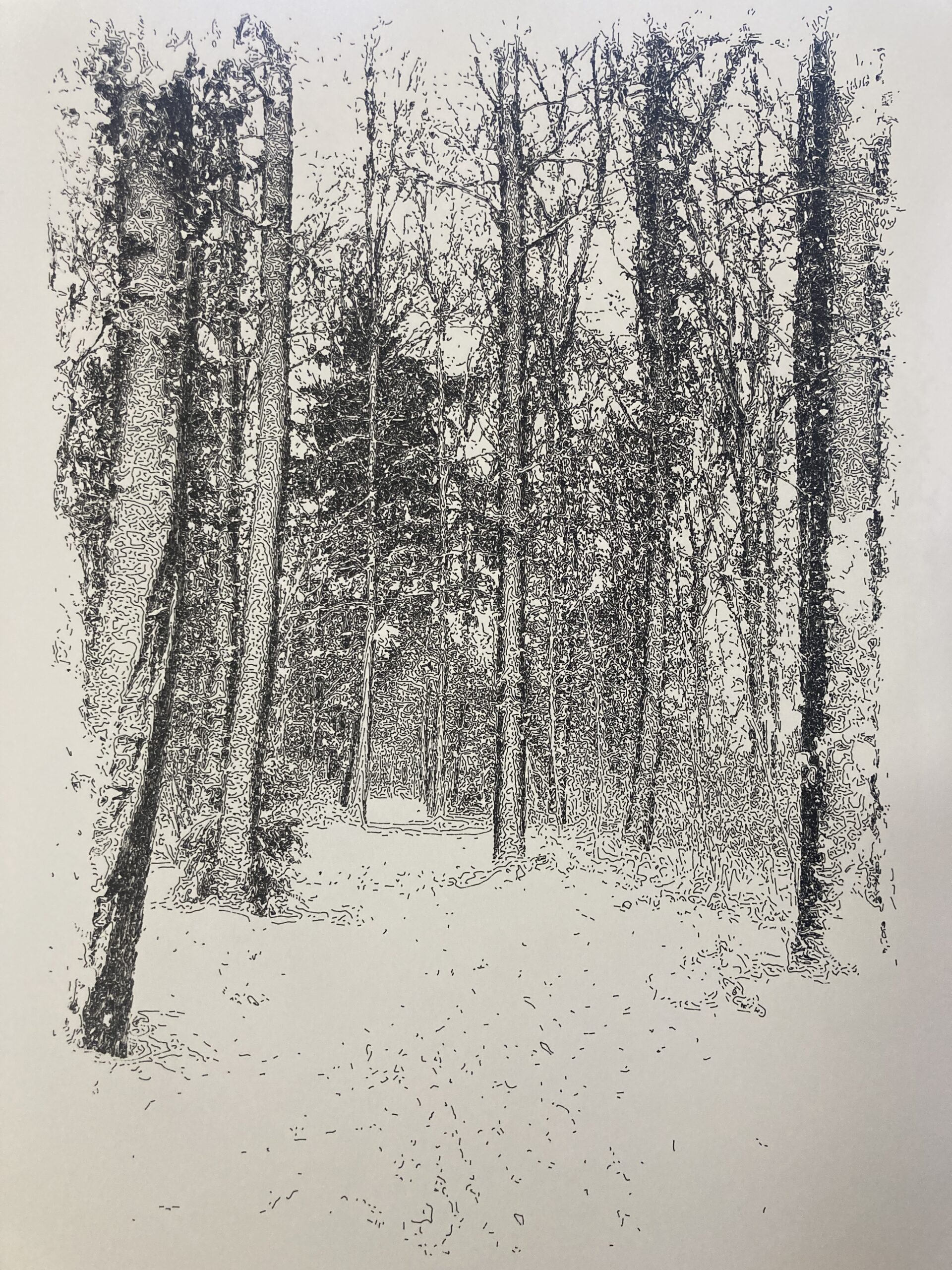 Rustic scenery with snow covered trees. Image is pen plotted with black ink on white paper.